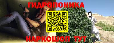 прущие крисы Малгобек
