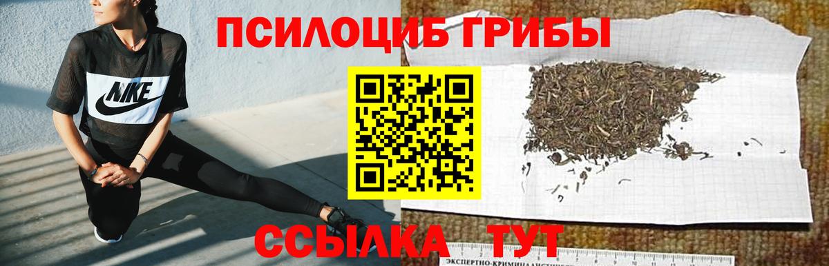 Галлюциногенные грибы мухоморы Калач-на-Дону