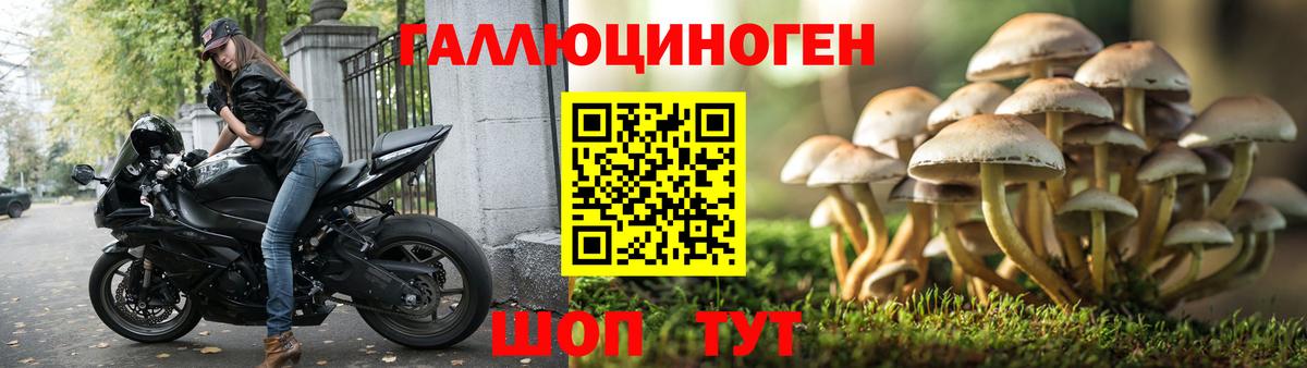 Калач-на-Дону  Псилоцибиновые грибы ЛСД  Вход с VPN 