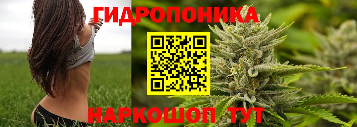 Шишки марихуана сатива  Вход с VPN  Калач-на-Дону  Марихуана индика 
